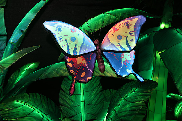 3I7A7023.   Chinese Lantern Festival 2023 ktiplaura@gmail.com