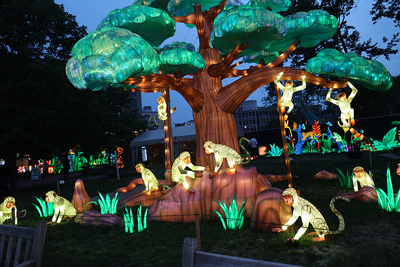 3I7A6904.   Chinese Lantern Festival 2023 ktiplaura@gmail.com