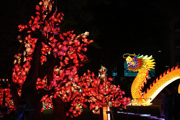 3I7A7008.   Chinese Lantern Festival 2023 ktiplaura@gmail.com