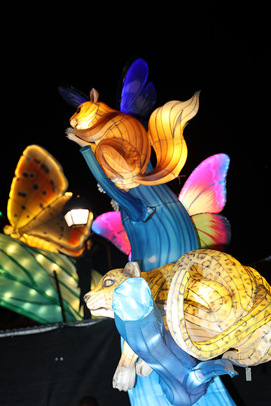 3I7A7031.   Chinese Lantern Festival 2023 ktiplaura@gmail.com