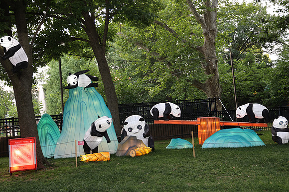 3I7A6837.   Chinese Lantern Festival 2023 ktiplaura@gmail.com