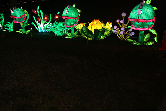 3I7A6993.   Chinese Lantern Festival 2023 ktiplaura@gmail.com