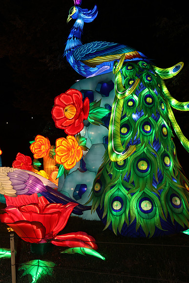 3I7A6982.   Chinese Lantern Festival 2023 ktiplaura@gmail.com