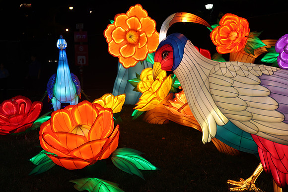 3I7A6986.   Chinese Lantern Festival 2023 ktiplaura@gmail.com
