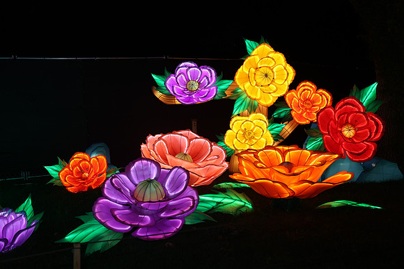 3I7A6979.   Chinese Lantern Festival 2023 ktiplaura@gmail.com