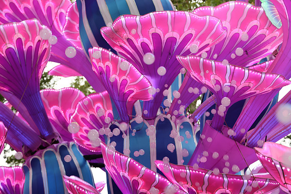 3I7A6815.   Chinese Lantern Festival 2023 ktiplaura@gmail.com