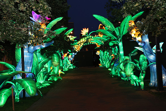 3I7A6936.   Chinese Lantern Festival 2023 ktiplaura@gmail.com