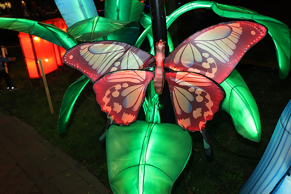 3I7A7015.   Chinese Lantern Festival 2023 ktiplaura@gmail.com