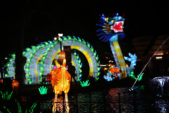 3I7A7007.   Chinese Lantern Festival 2023 ktiplaura@gmail.com