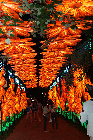 3I7A6959.   Chinese Lantern Festival 2023 ktiplaura@gmail.com