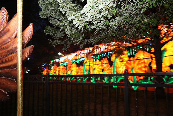 3I7A6954.   Chinese Lantern Festival 2023 ktiplaura@gmail.com