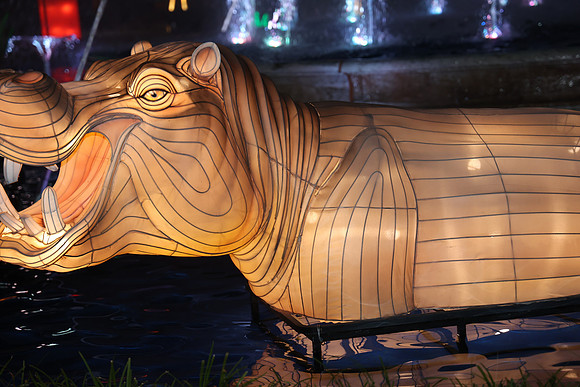 3I7A6940.   Chinese Lantern Festival 2023 ktiplaura@gmail.com