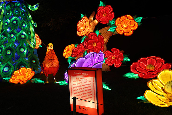 3I7A6980.   Chinese Lantern Festival 2023 ktiplaura@gmail.com