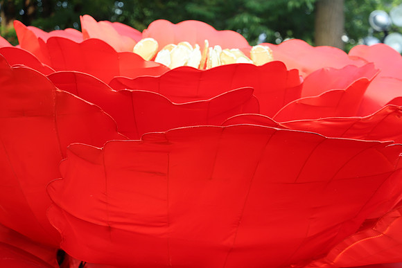 3I7A6772.   Chinese Lantern Festival 2023 ktiplaura@gmail.com