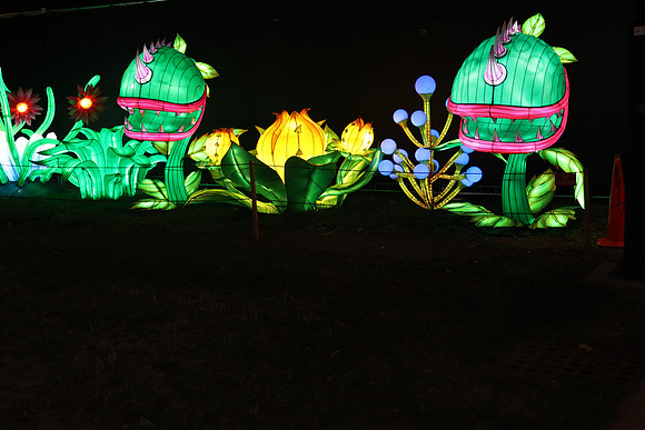 3I7A6992.   Chinese Lantern Festival 2023 ktiplaura@gmail.com