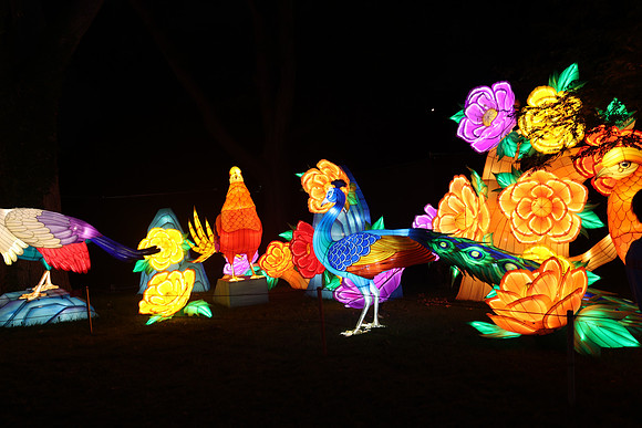 3I7A6974.   Chinese Lantern Festival 2023 ktiplaura@gmail.com