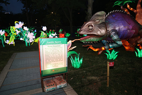 3I7A6920.   Chinese Lantern Festival 2023 ktiplaura@gmail.com