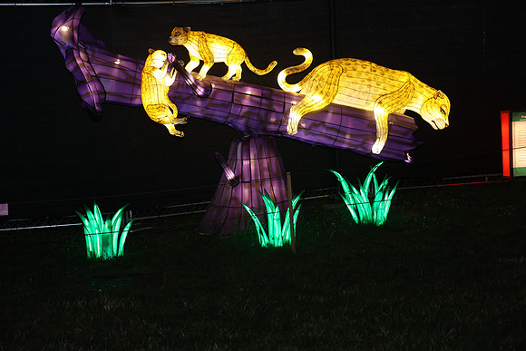 3I7A6949.   Chinese Lantern Festival 2023 ktiplaura@gmail.com