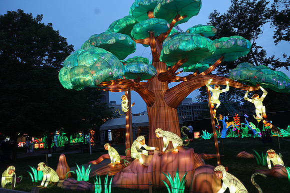 3I7A6905.   Chinese Lantern Festival 2023 ktiplaura@gmail.com