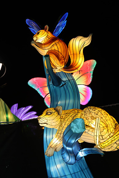 3I7A7024.   Chinese Lantern Festival 2023 ktiplaura@gmail.com