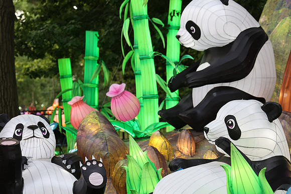 3I7A6824.   Chinese Lantern Festival 2023 ktiplaura@gmail.com