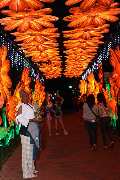 3I7A6961.   Chinese Lantern Festival 2023 ktiplaura@gmail.com