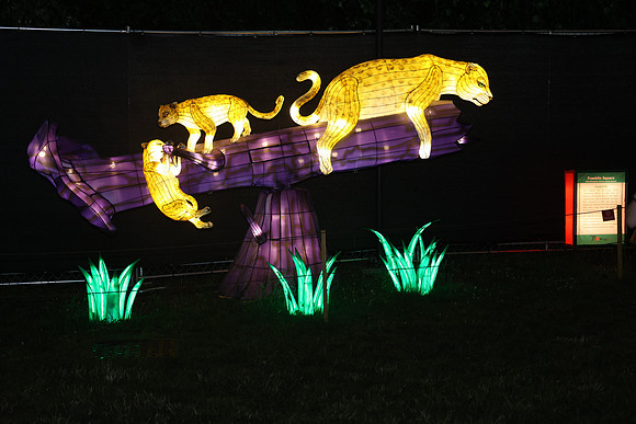 3I7A6948.   Chinese Lantern Festival 2023 ktiplaura@gmail.com