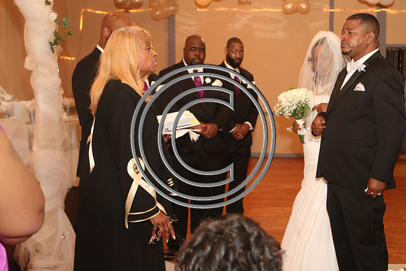 Mr.  Dominic and Mrs. Yakima Patterson  Wedding on  June 4, 2016 (482)