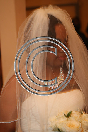 Mr.  Dominic and Mrs. Yakima Patterson  Wedding on  June 4, 2016 (528)