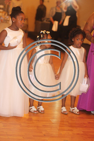 Mr.  Dominic and Mrs. Yakima Patterson  Wedding on  June 4, 2016 (243)
