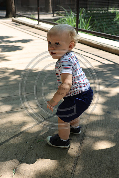 KTIN9428. Philadelphia Zoo 08112024 ktiplaura@gmail.com