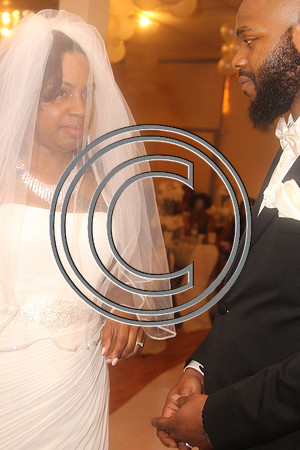 Mr.  Dominic and Mrs. Yakima Patterson  Wedding on  June 4, 2016 (326)