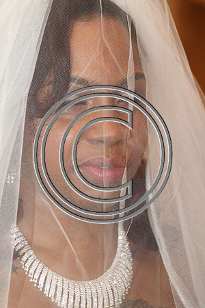 Mr.  Dominic and Mrs. Yakima Patterson  Wedding on  June 4, 2016 (536)