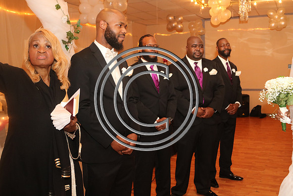 Mr.  Dominic and Mrs. Yakima Patterson  Wedding on  June 4, 2016 (467)
