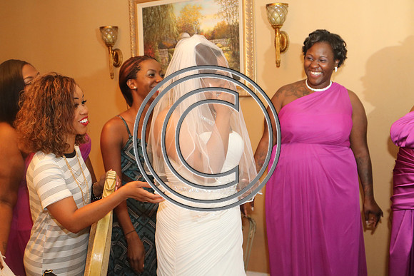 Mr.  Dominic and Mrs. Yakima Patterson  Wedding on  June 4, 2016 (219)