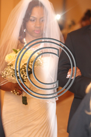 Mr.  Dominic and Mrs. Yakima Patterson  Wedding on  June 4, 2016 (240)