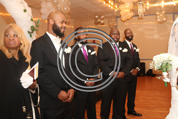 Mr.  Dominic and Mrs. Yakima Patterson  Wedding on  June 4, 2016 (466)