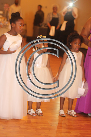 Mr.  Dominic and Mrs. Yakima Patterson  Wedding on  June 4, 2016 (244)