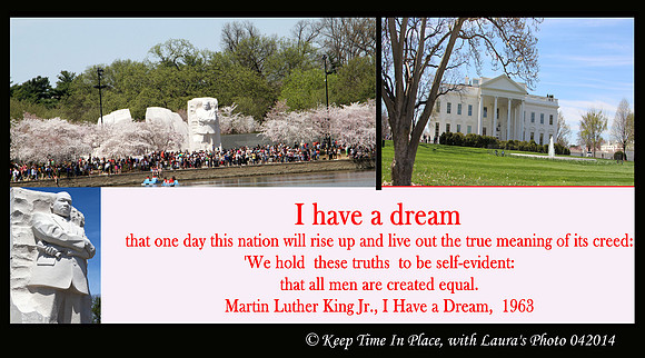 laura elam Washington 042014_edited-1