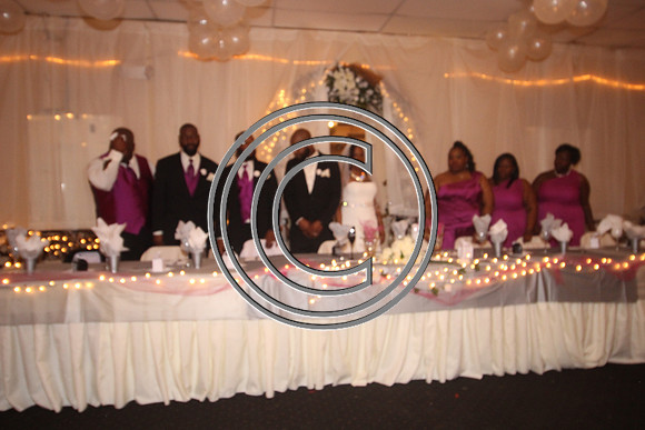 Mr.  Dominic and Mrs. Yakima Patterson  Wedding on  June 4, 2016 (558)