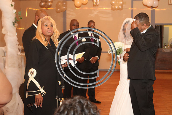 Mr.  Dominic and Mrs. Yakima Patterson  Wedding on  June 4, 2016 (481)