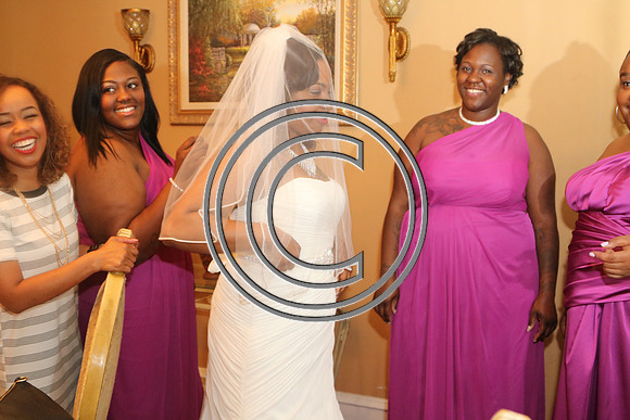 Mr.  Dominic and Mrs. Yakima Patterson  Wedding on  June 4, 2016 (221)