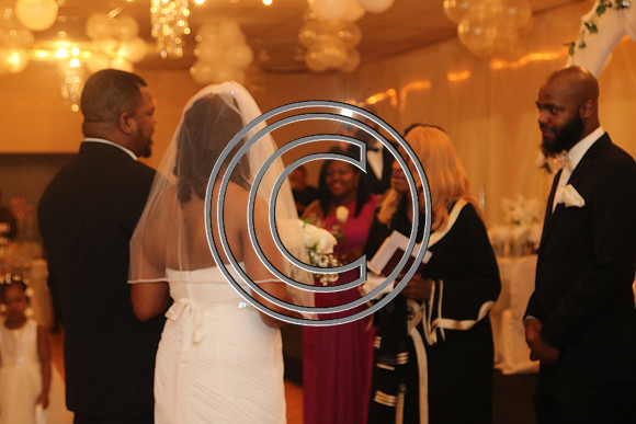 Mr.  Dominic and Mrs. Yakima Patterson  Wedding on  June 4, 2016 (495)
