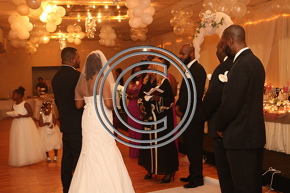 Mr.  Dominic and Mrs. Yakima Patterson  Wedding on  June 4, 2016 (494)