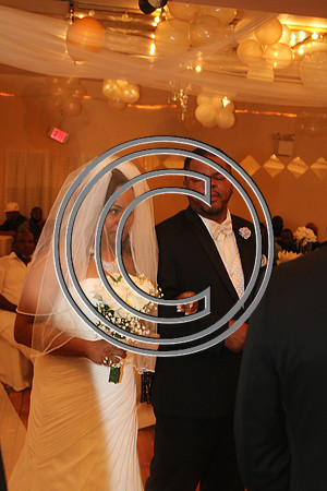 Mr.  Dominic and Mrs. Yakima Patterson  Wedding on  June 4, 2016 (496)