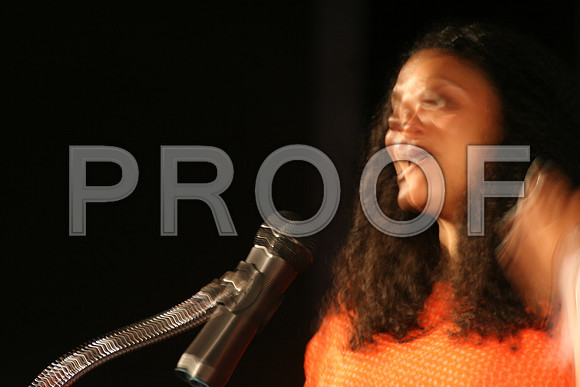 05192012 Philadelphia Association of Black Journalists  (130)