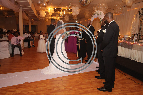 Mr.  Dominic and Mrs. Yakima Patterson  Wedding on  June 4, 2016 (250)