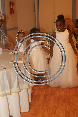 Mr.  Dominic and Mrs. Yakima Patterson  Wedding on  June 4, 2016 (697)