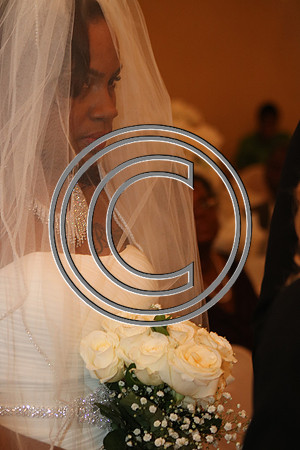 Mr.  Dominic and Mrs. Yakima Patterson  Wedding on  June 4, 2016 (527)