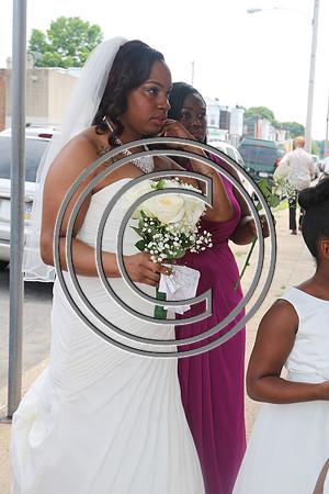 Mr.  Dominic and Mrs. Yakima Patterson  Wedding on  June 4, 2016 (398)